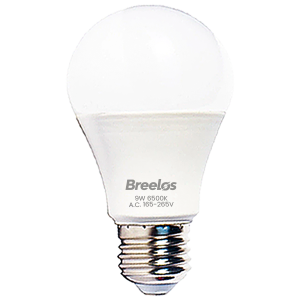 LED Frosted Bulb 9W White 6500K E27