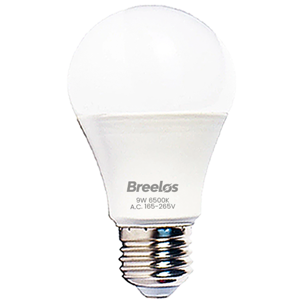 LED Frosted Bulb 9W White 6500K E27